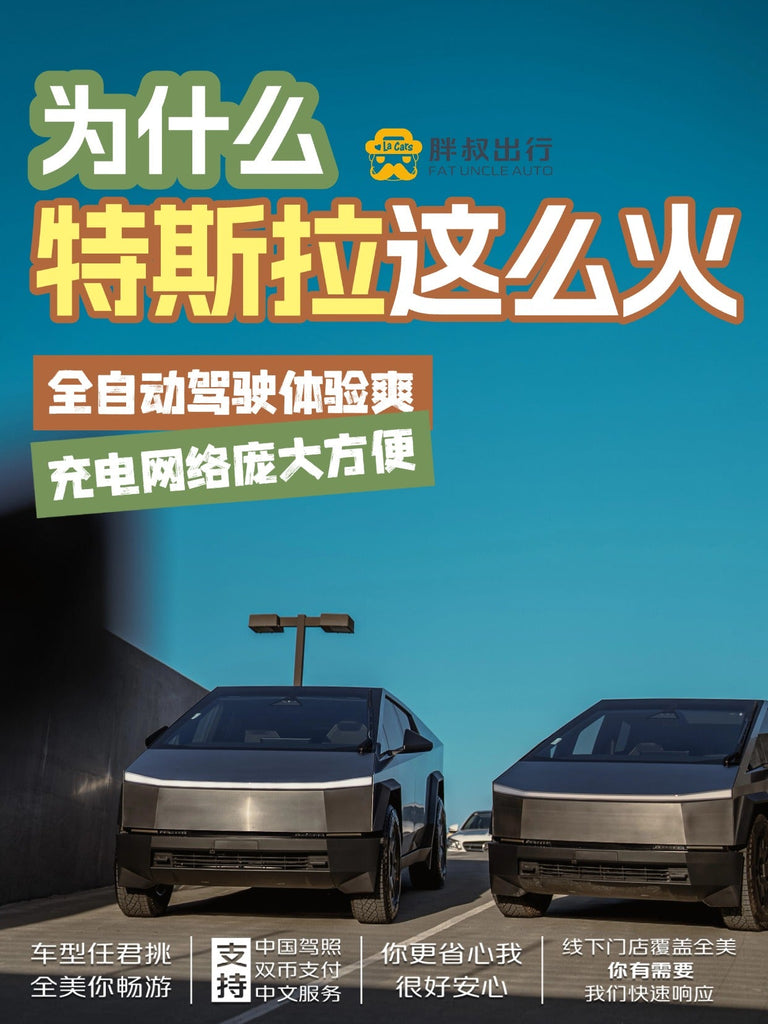 🚗 为什么特斯拉这么火？🔥